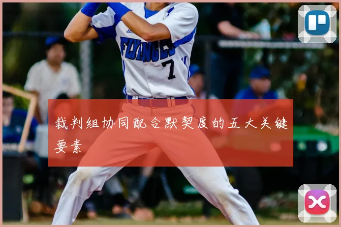 裁判组协同配合默契度的五大关键要素