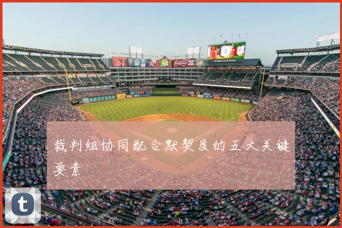 裁判组协同配合默契度的五大关键要素
